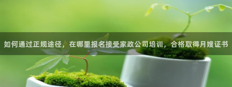 杏悦娱乐怎么玩