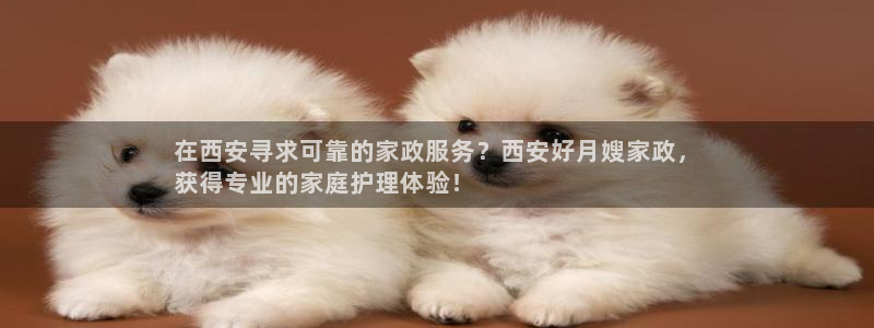 杏悦平台开户地址