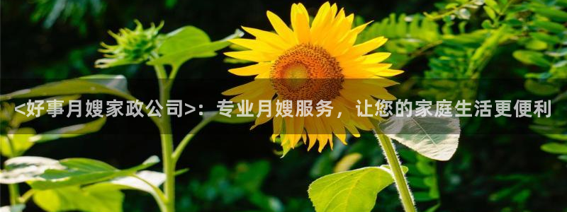 杏悦 -首选推荐平台