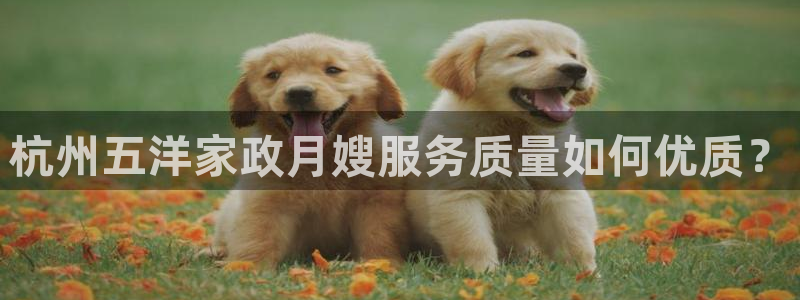 杏悦官方平台官网入口