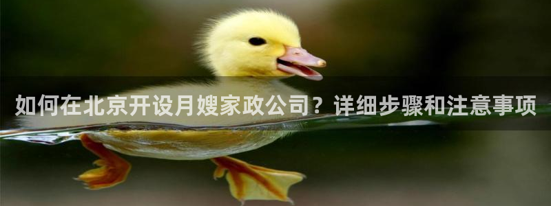 杏悦平台代理