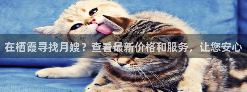 杏悦平台可靠吗可信吗