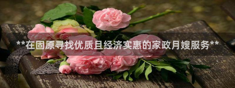 杏悦平台代理多少钱