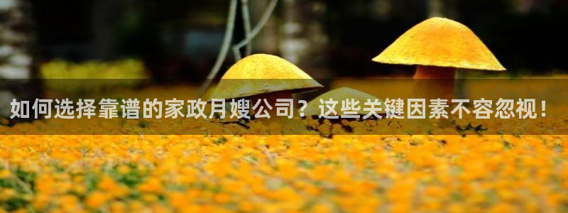 杏悦平台代理怎么样