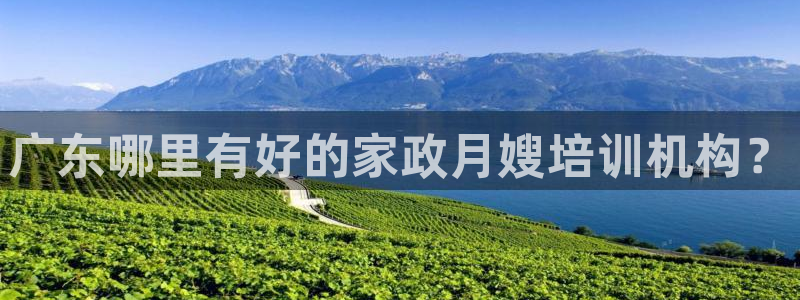 杏悦招商地址