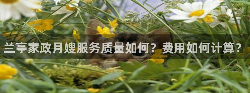 杏悦娱乐是什么