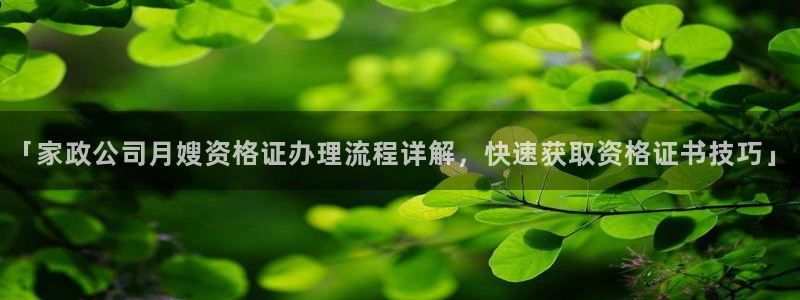 杏悦平台代理怎么样啊