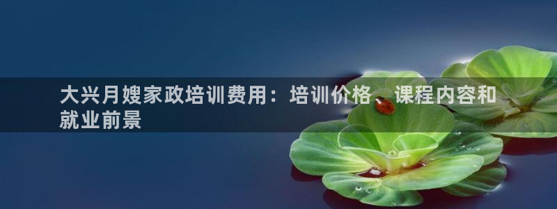 杏悦登入