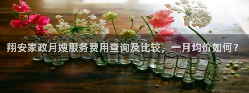 杏悦招商地址