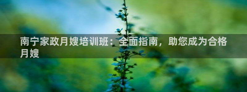 杏悦 -首选推荐平台
