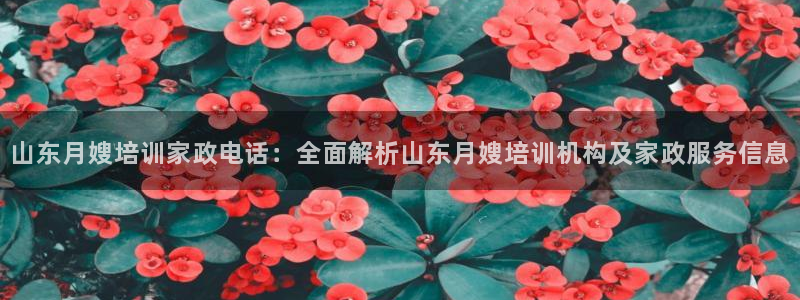 杏悦平台代理怎么做