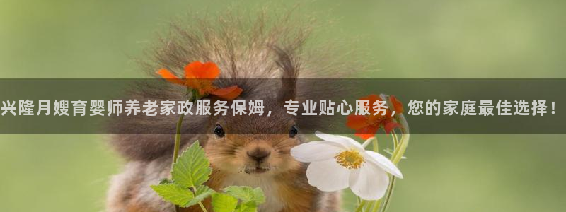 杏悦平台如何