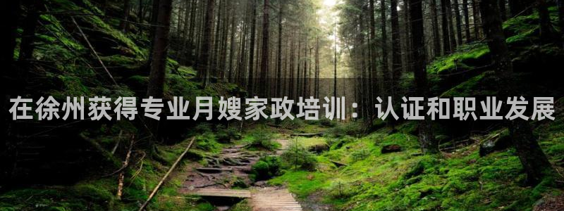 杏悦娱乐怎么玩