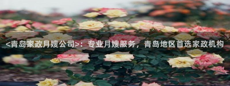 杏悦平台