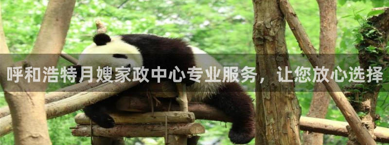 杏悦平台如何
