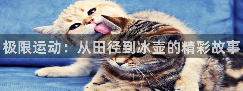风速体育下载