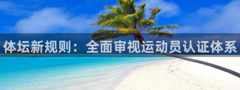 风速体育直播app