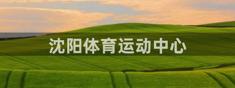 风速体育