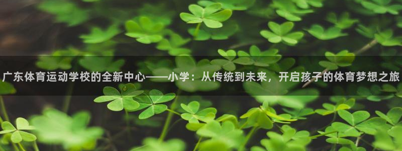 下载风速体育