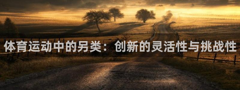 风速体育nba免费直播