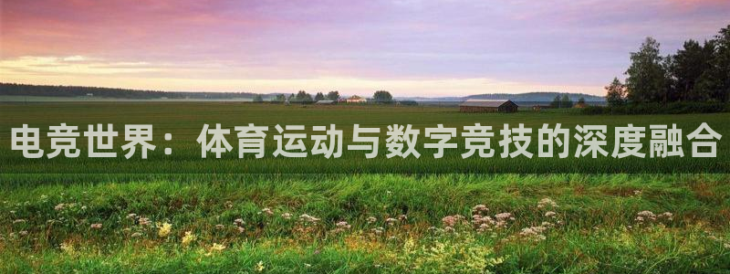 风速体育nba直播