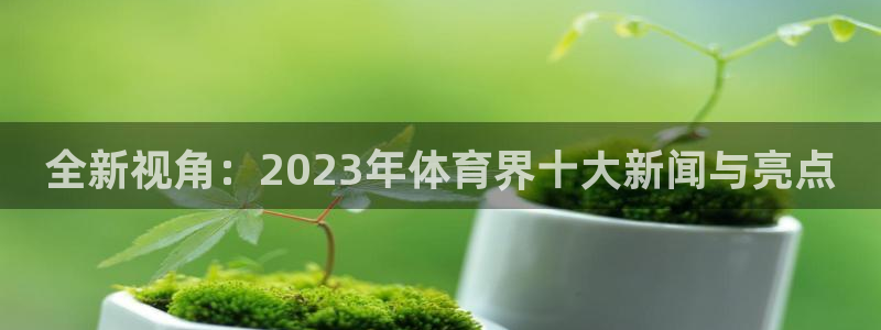 风速体育