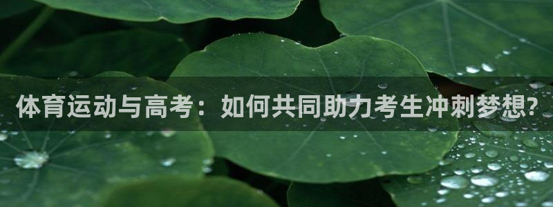 风速体育app下载安装最新版本