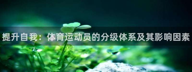 下载风速体育