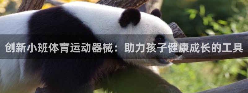 下载风速体育