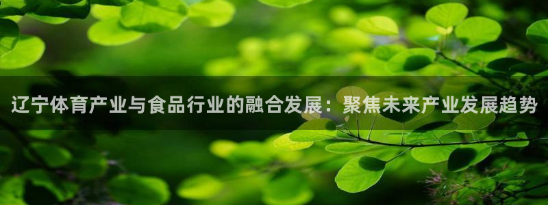 风速体育app下载安装最新版本
