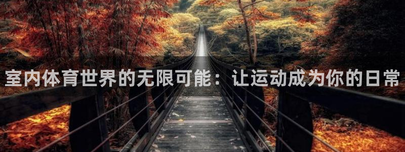 风速体育下载