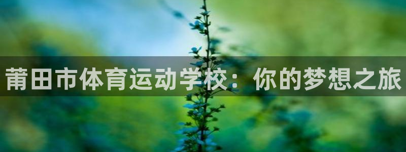风速体育nba免费直播