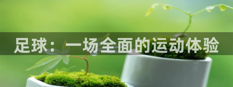 风速体育app下载官网最新版