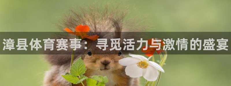风速体育app