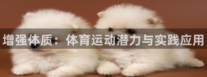 风速体育app官方下载