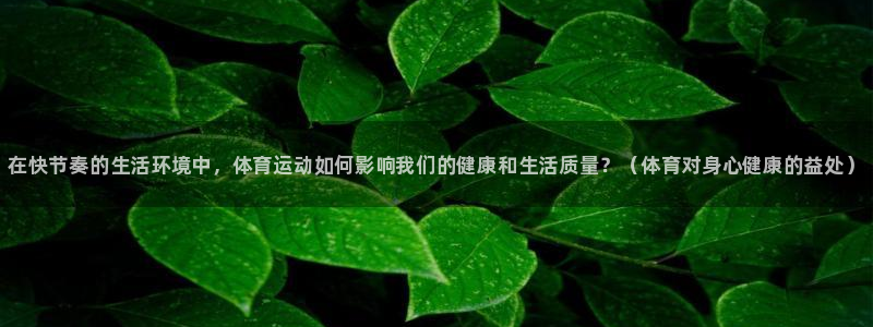 风速体育app