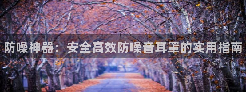风速体育