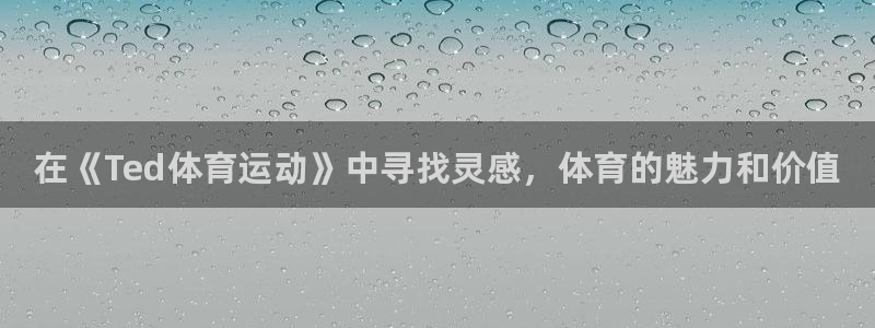 风速体育