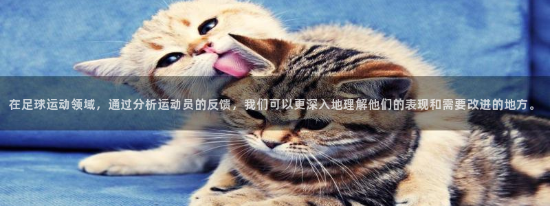 风速体育nba免费直播