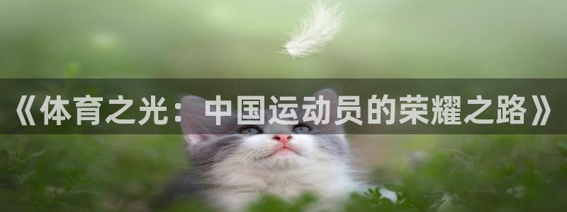 下载风速体育
