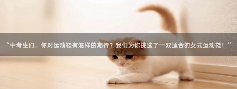 风速体育直播app