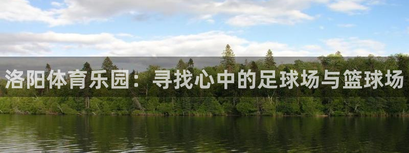风速体育官网