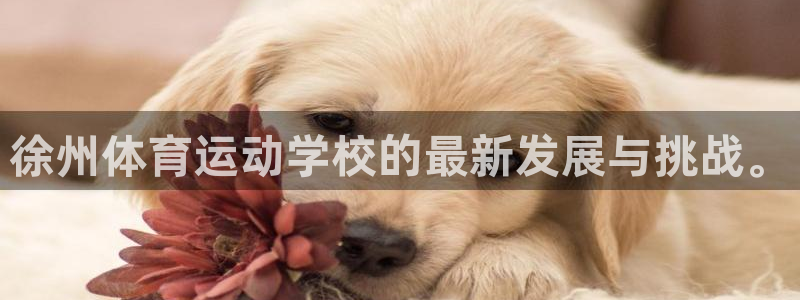 风速体育app官方下载
