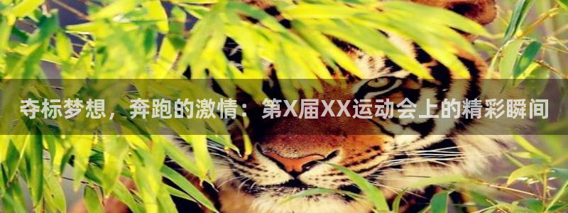风速体育下载