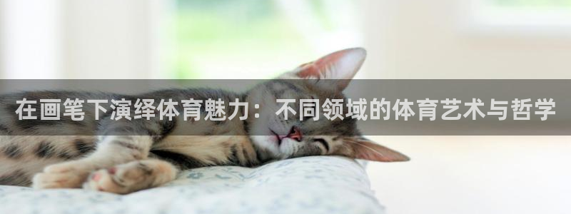 风速体育app下载安装最新版本