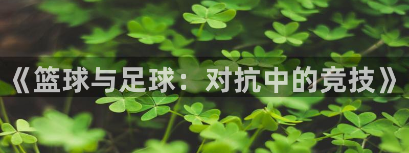风速体育app下载安装最新版本