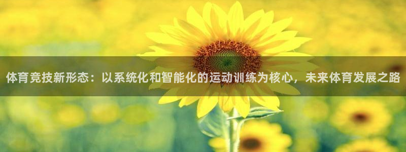 风速体育nba免费直播