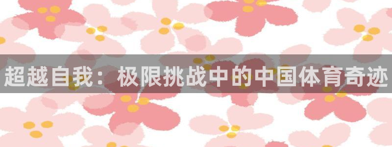 风速体育nba直播