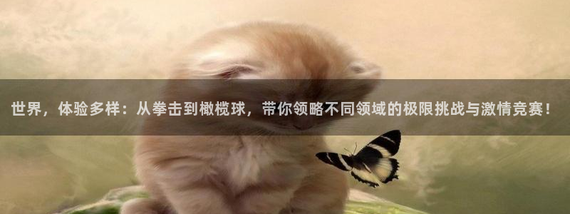 下载风速体育