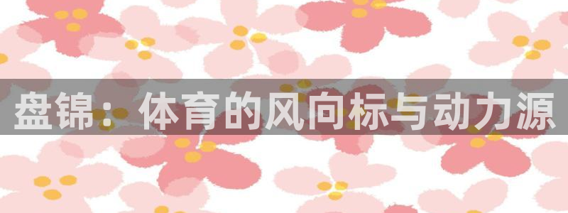 风速体育app下载官网最新版